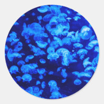 Jellyfish Round Sticker