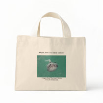 Jellyfish, Santa Cruz Island, California bags