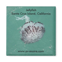 Jellyfish, Santa Cruz Island, California magnets by lshickzazzle Jellyfish, Santa Cruz Island, California magnets