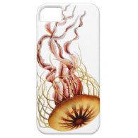 Jellyfish.  Simple.  Classic.  Cool. iPhone 5 Cover