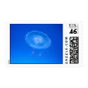 Jellyfish (single) postage