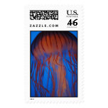 Jellyfish Stamp