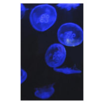Jellyfish stationery by Loribme Jellyfish stationery