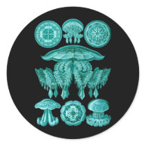 Jellyfish Sticker