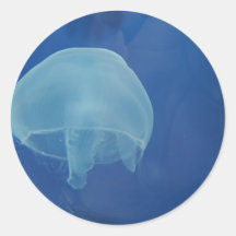 jellyfish sticker