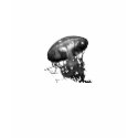 Jellyfish t-shirts