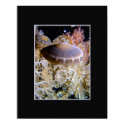 Jellyship posters by gregbergquist Jellyship posters