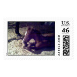 Jen Spirit Postage Stamp