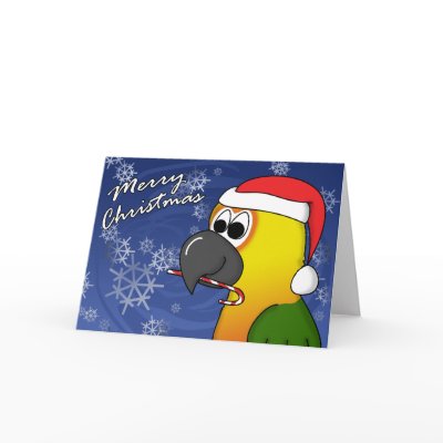 Jenday Conure Pictures