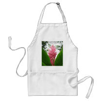 Jengibre rosado (pink ginger) aprons