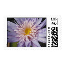 Jennifer Presnell stamps