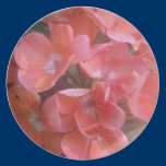 Jenni's Jewel Plate plates