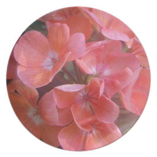 Jenni's Jewel Plate