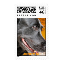 JENNY M.-DOG US POSTAGE STAMP