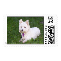 Jenny postage