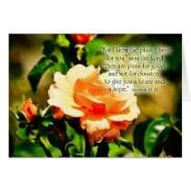 Jer29_11Zazzle cards