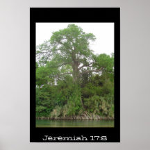 Jeremiah 17:8 posters