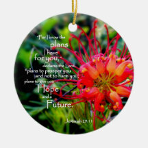 Jeremiah 29:11 A Hope and a Future Ornament