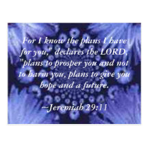 Jeremiah 29:11 Blue Daisy Post Card