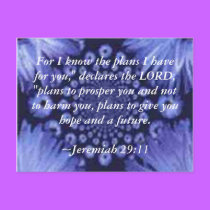 Jeremiah 29:11 Blue Daisy Post Card postcards