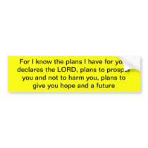 Jeremiah 29:11 Bumper Sticker