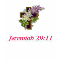 Jeremiah 29:11 Cross T-shirt