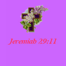 Jeremiah 29:11 Cross T-shirt