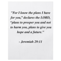 JEREMIAH 29:11 FLYERS