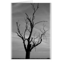 JERI'S TREE cards
