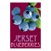 Jersey_Blueberries posters