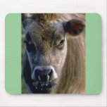 Jersey Bullock Mousepads