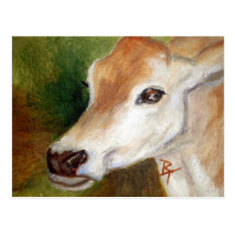 Jersey Cow aceo Postcard