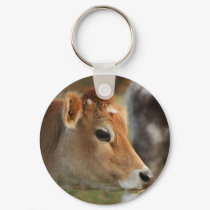 Jersey Cow keychains