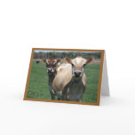 Jersey Cows Greeting Card