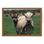 Jersey Cows Greeting Card