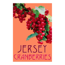Jersey_Cranberries posters