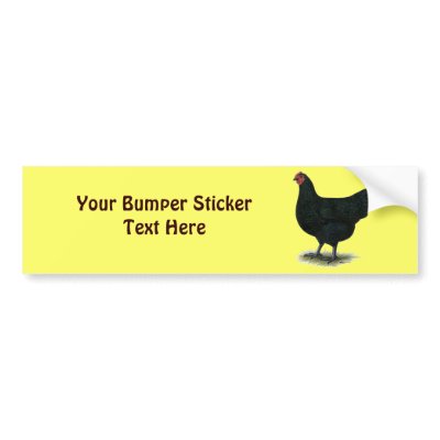 Jersey Giant:  Black Hen Bumper Sticker