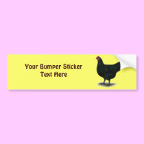 Jersey Giant:  Black Hen bumper stickers
