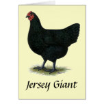 Jersey Giant:  Black Hen cards
