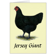 Jersey Giant:  Black Hen Card