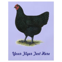 Jersey Giant:  Black Hen Custom Flyer