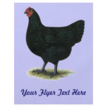 Jersey Giant:  Black Hen flyers