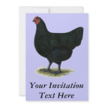 Jersey Giant:  Black Hen Personalized Invitation