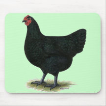 Jersey Giant:  Black Hen Mouse Pads