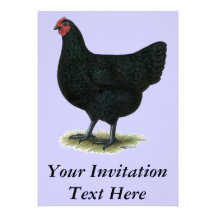 Jersey Giant:  Black Hen Personalized Invitation
