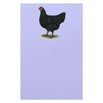 Jersey Giant:  Black Hen Stationery