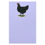 Jersey Giant:  Black Hen Stationery
