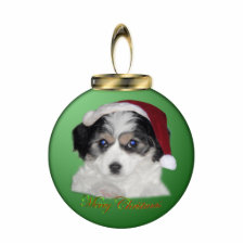 Jersey Santa Ornament photosculpture