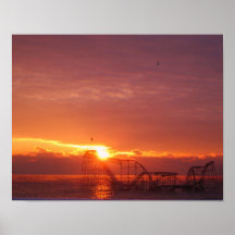 Jersey Shore Coaster Print