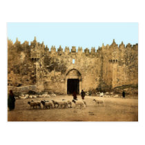 Jerusalem - Damascus Gate Post Cards